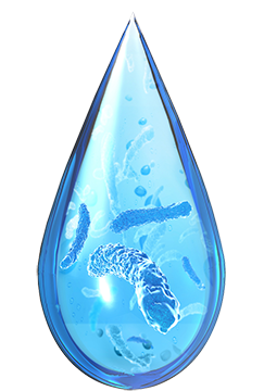Water with Legionella Bacteria
